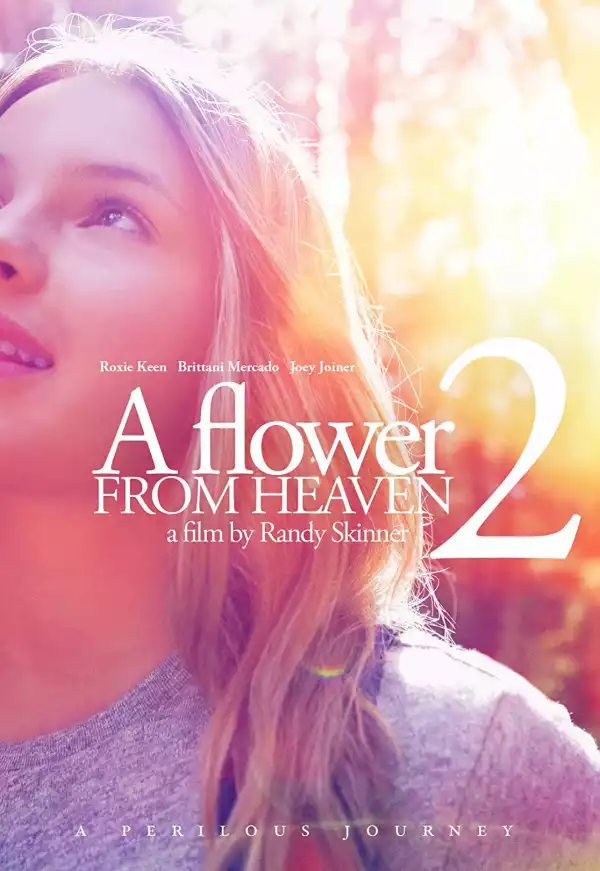A Flower From Heaven 2: A Perilous Journey (2018)